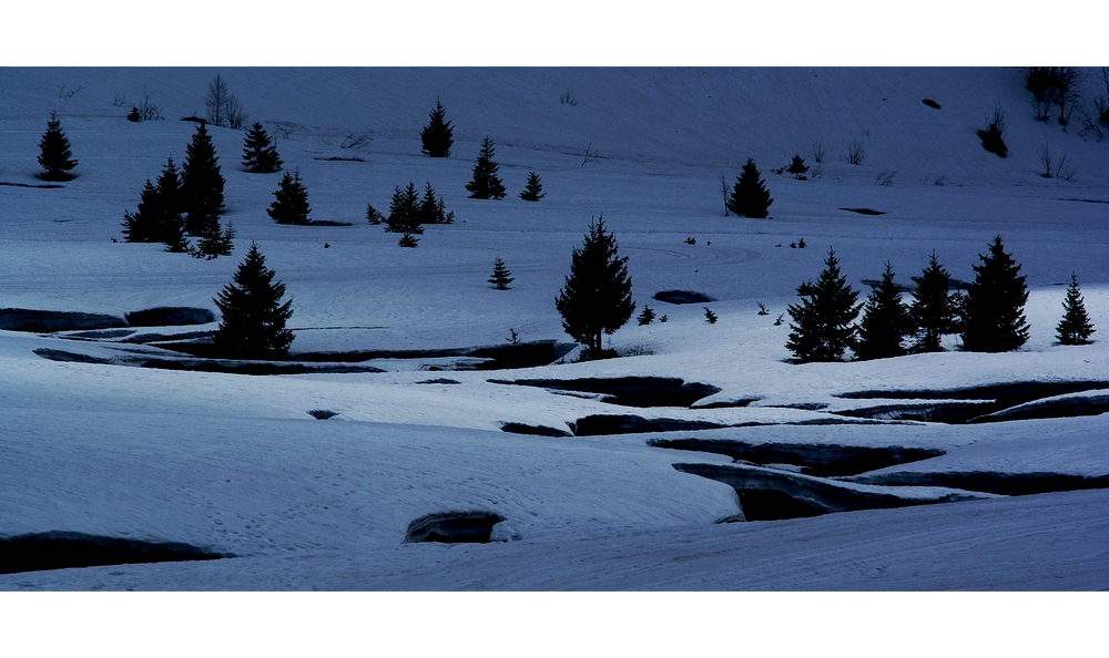 Frühlingsschnee