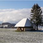 Frühlingsschnee heute 6.4.2021