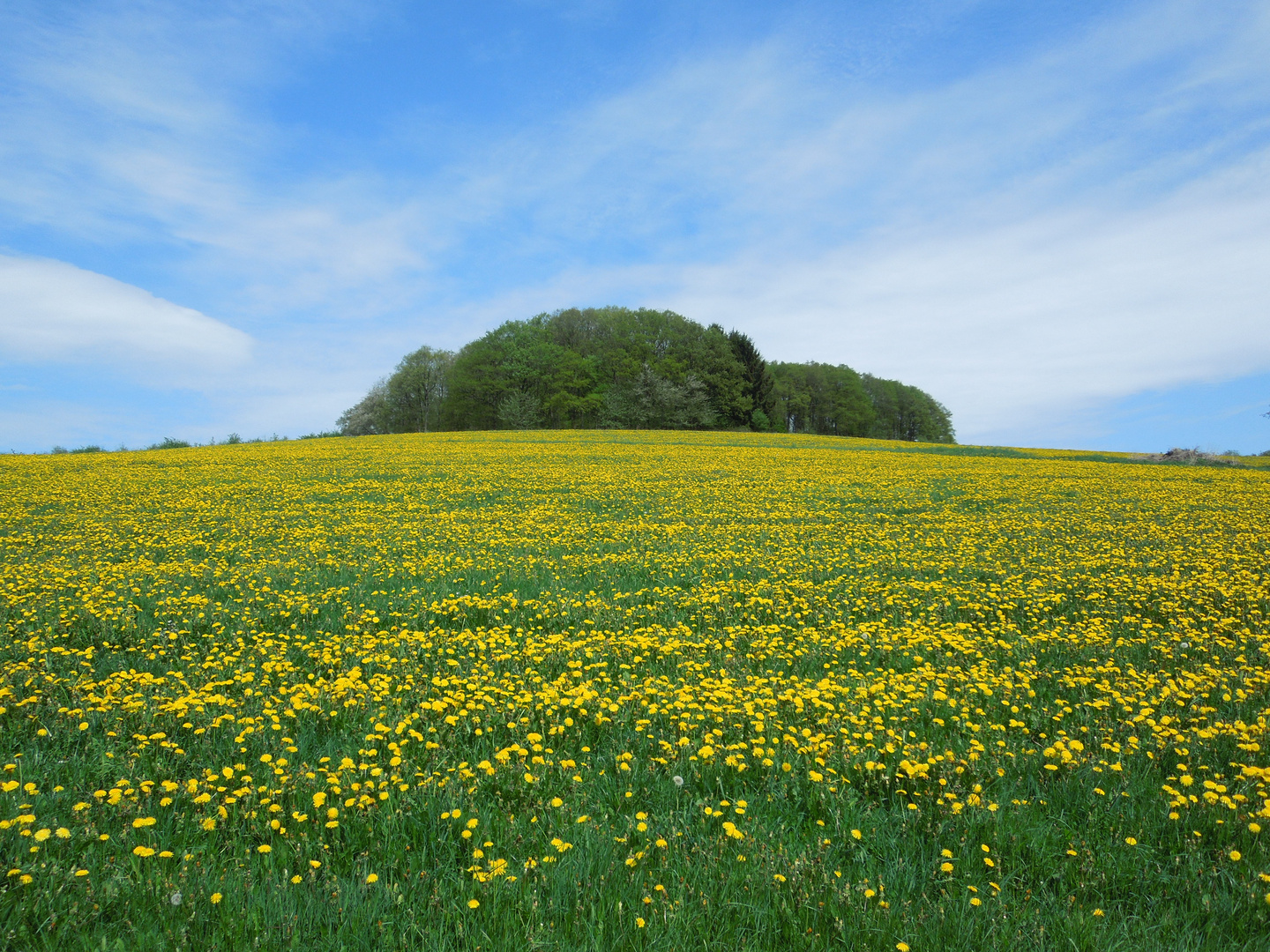 Frühlingssinfonie 2