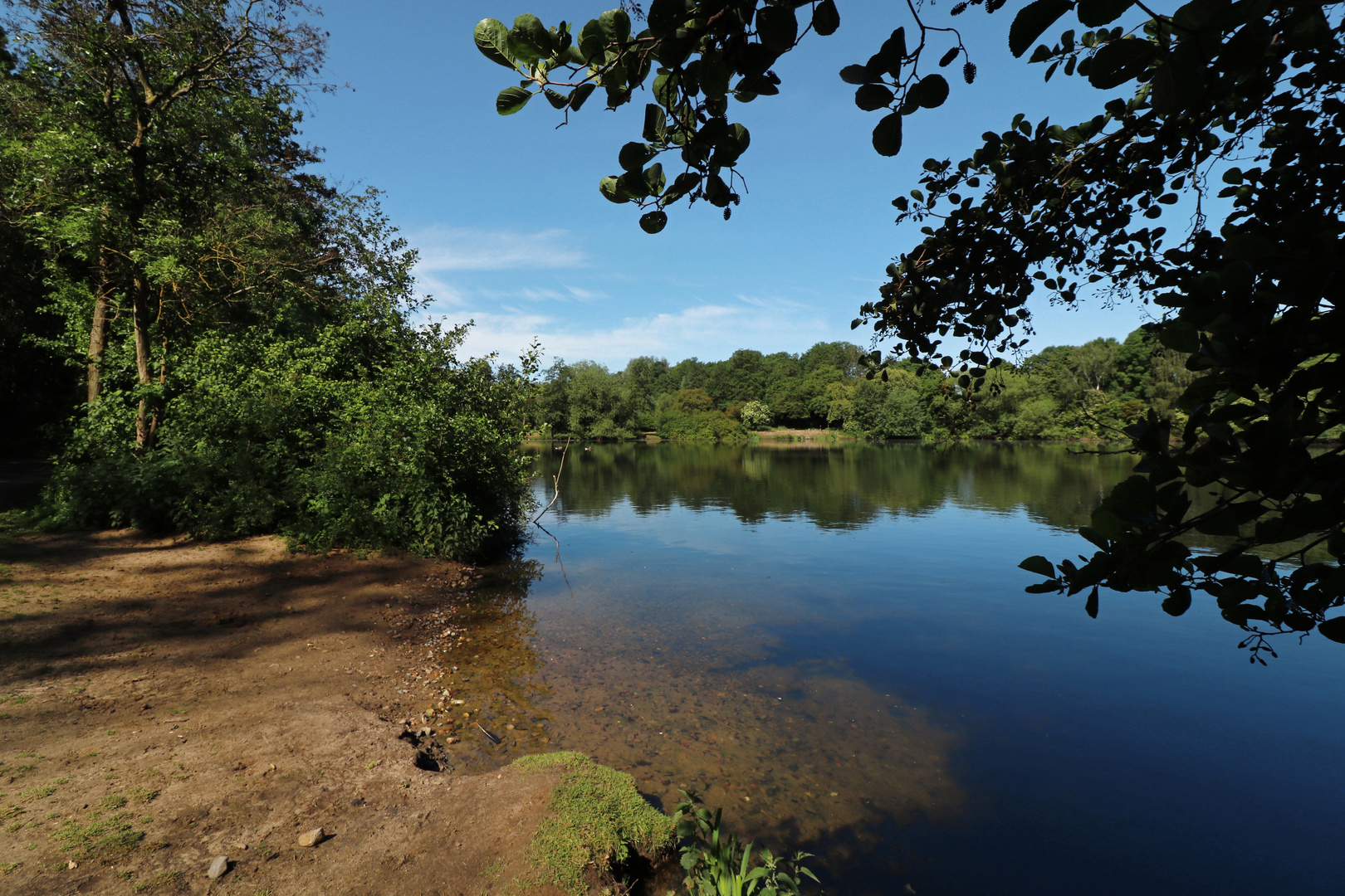 Frühlingssonne am Fischteich