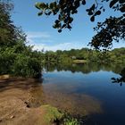 Frühlingssonne am Fischteich