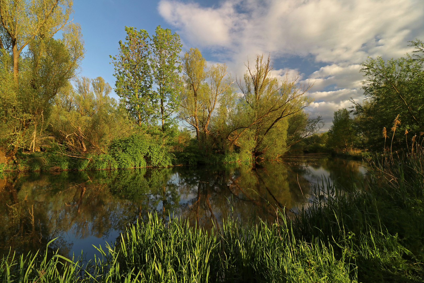 Frühlingssonne am Fluss