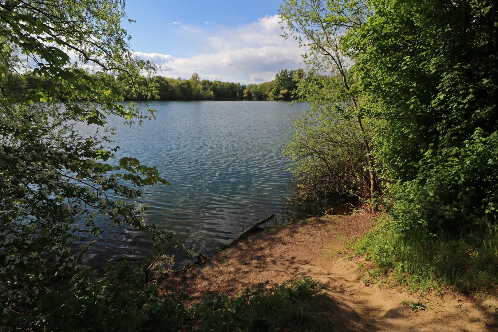 Frühlingssonne am See