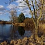 Frühlingssonne am Teich