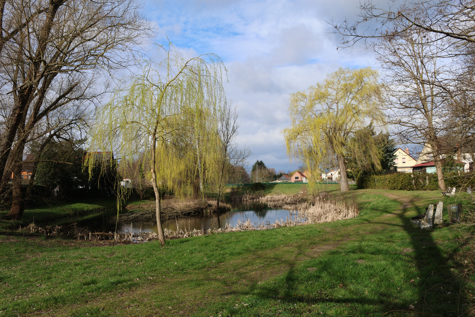 Frühlingssonne am Teich in Görzke