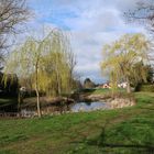 Frühlingssonne am Teich in Görzke