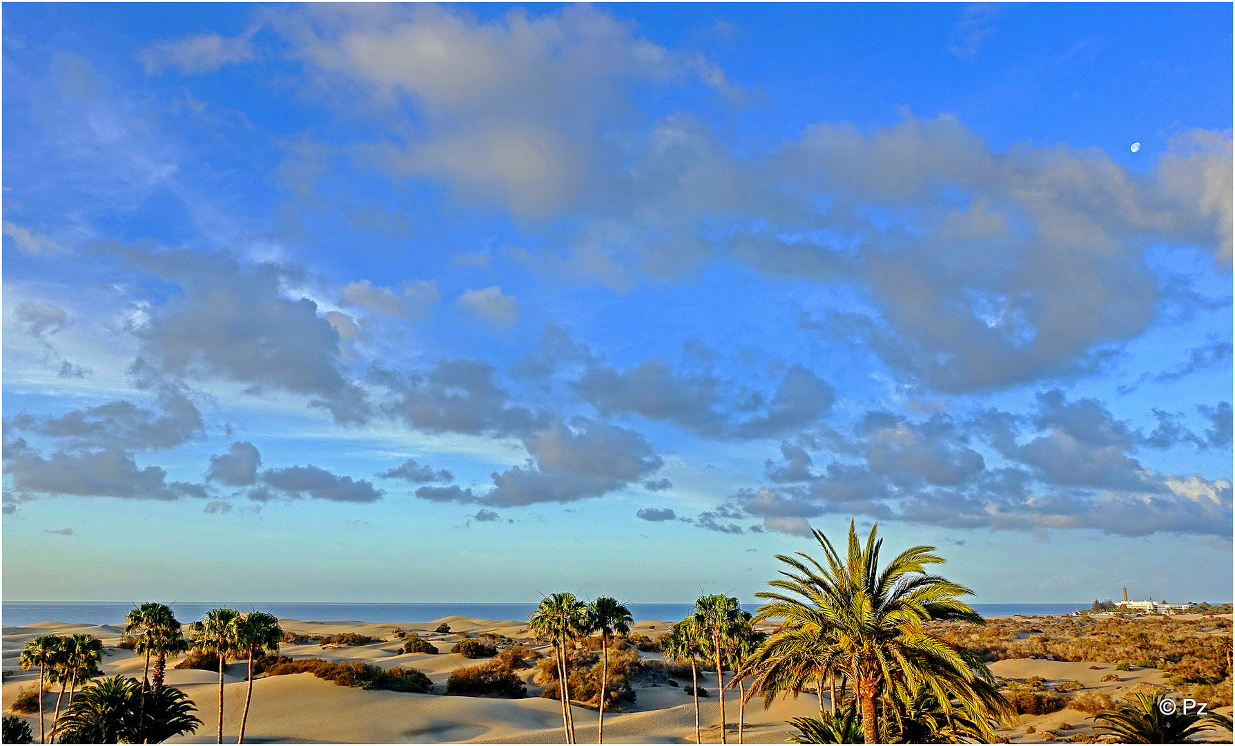 Frühlingssonne über den Dünen von Maspalomas ...