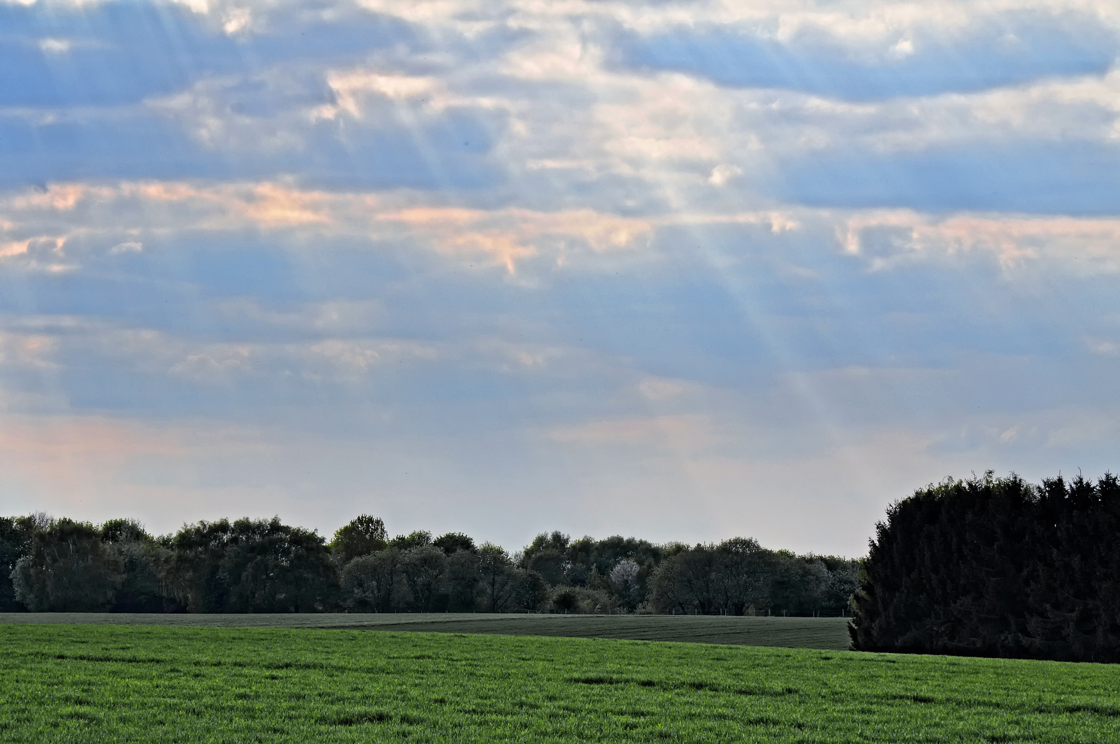 Frühlingssonne über den Feldern