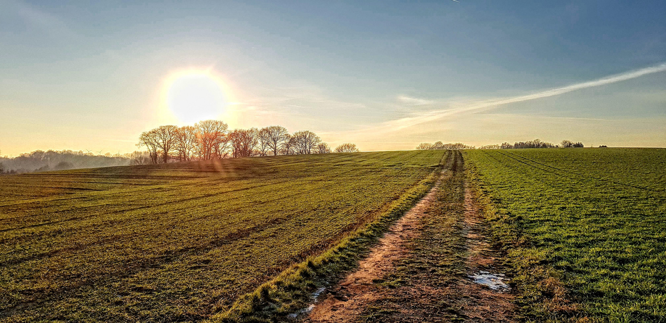 Frühlingssonne überm Feld