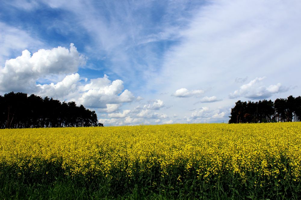 Frühlingssonntag mit tollen Wolkenformationen