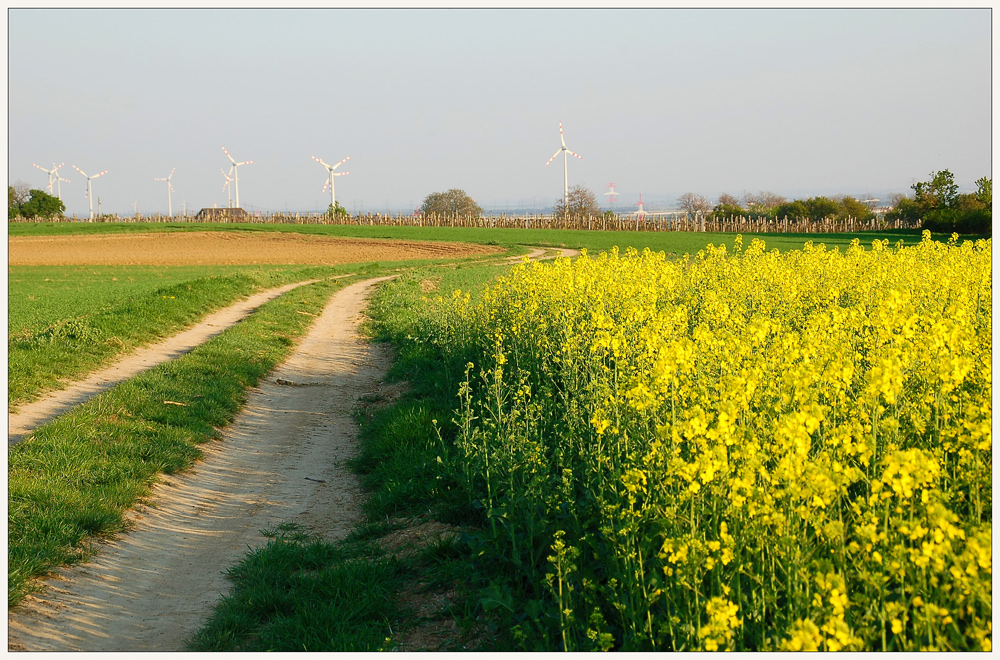 Frühlingsspaziergang 2011