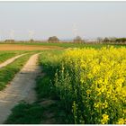 Frühlingsspaziergang 2011