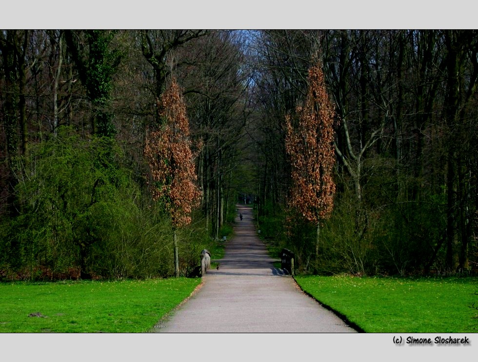 ~ Frühlingsspaziergang ~