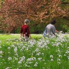 Frühlingsspaziergang