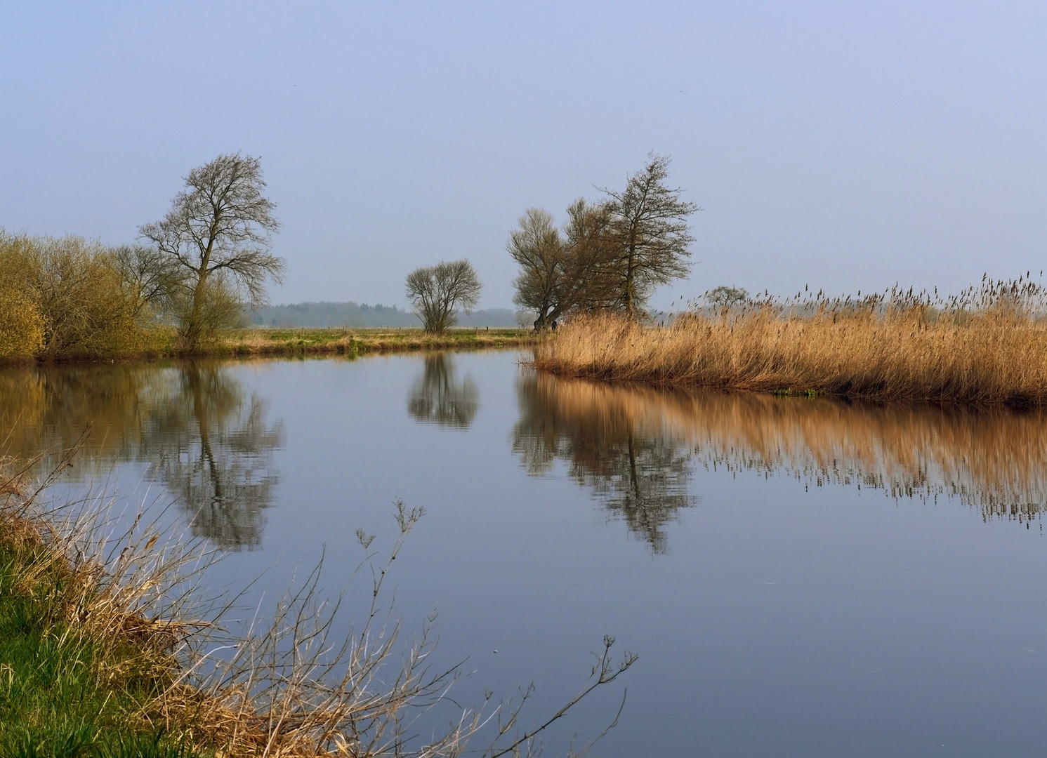 Frühlingsspaziergang