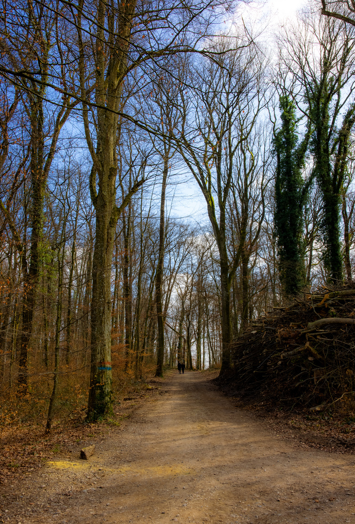 Frühlingsspaziergang