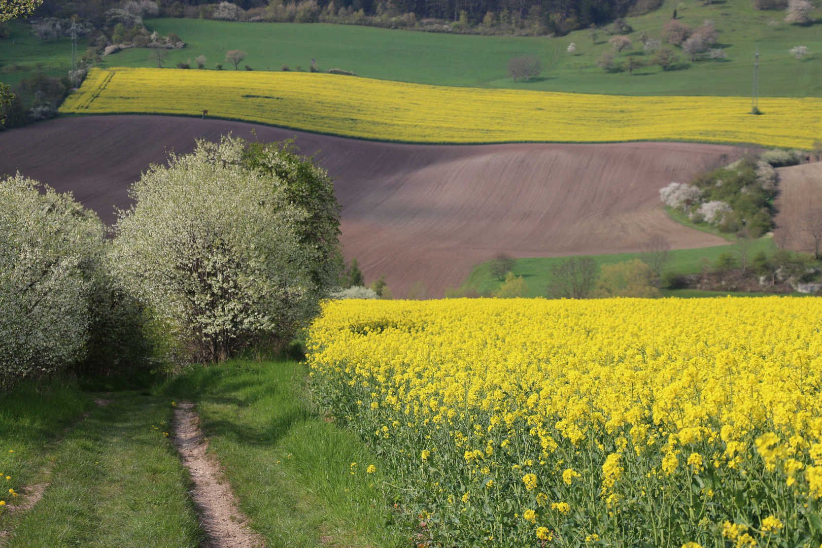 Frühlingsspaziergang