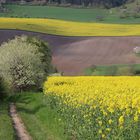 Frühlingsspaziergang