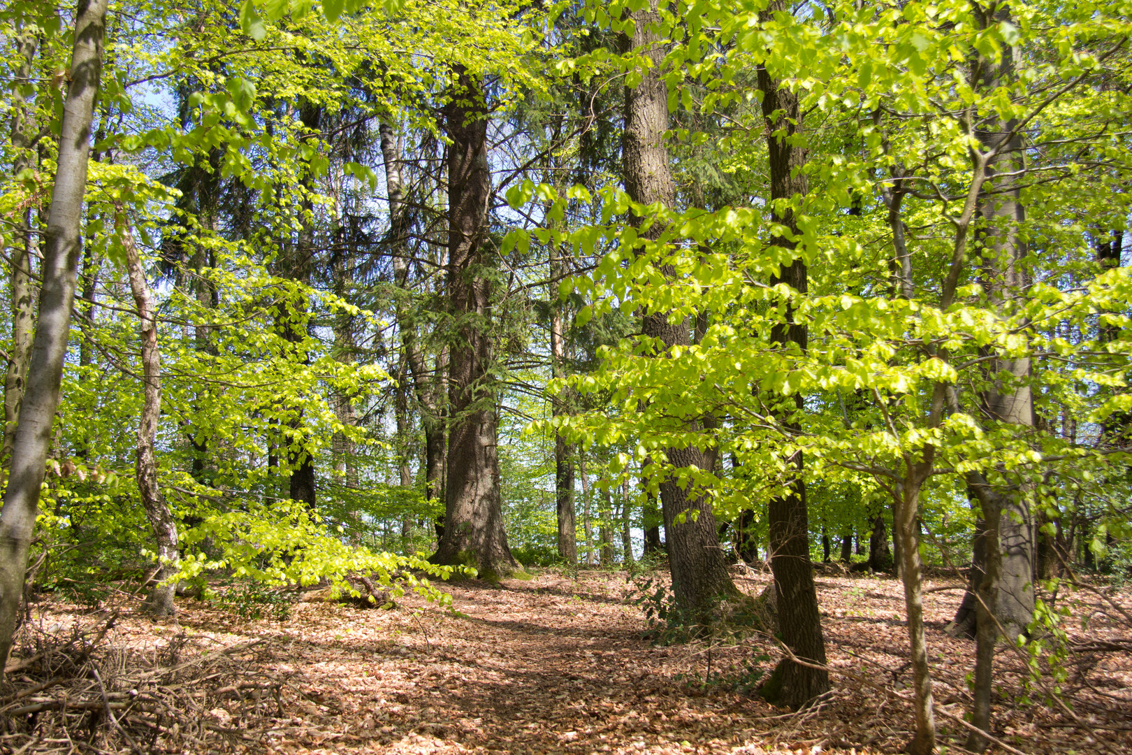 Frühlingsspaziergang