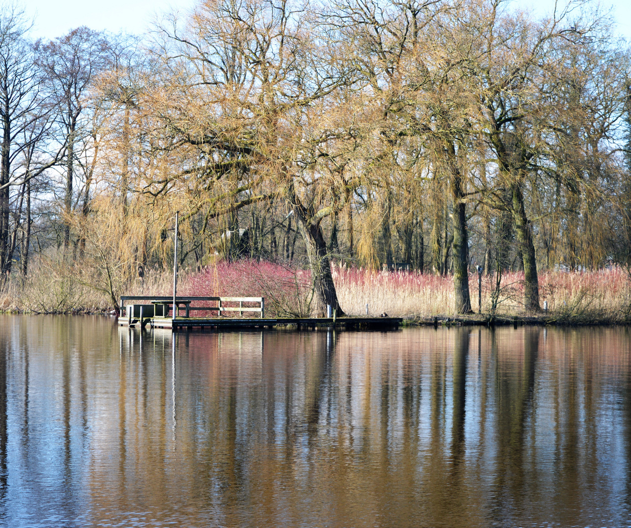 Frühlingsspaziergang