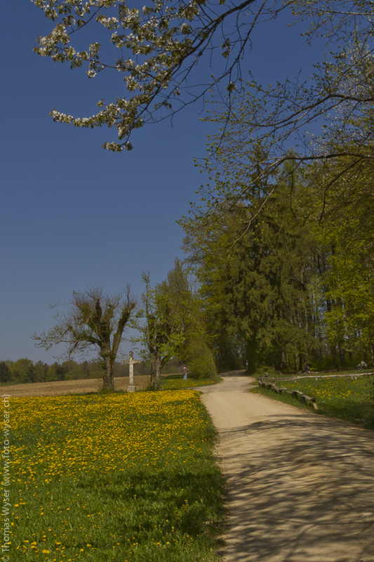 Frühlingsspaziergang