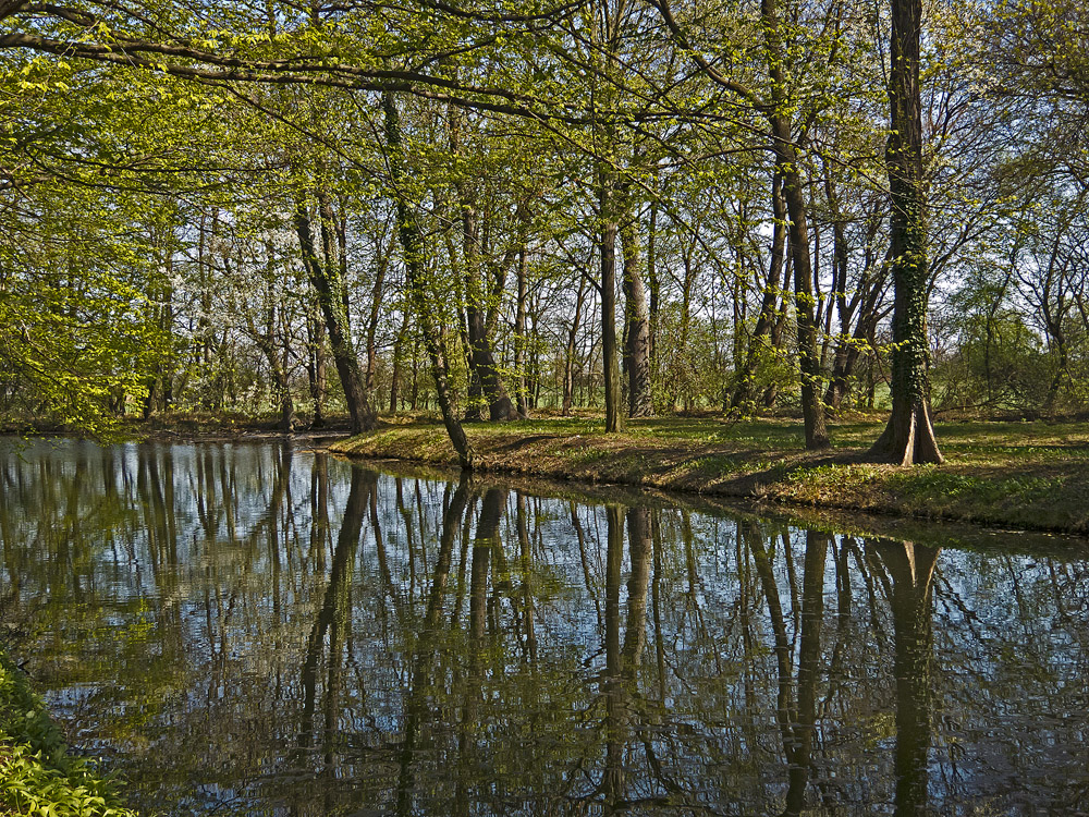 Frühlingsspaziergang