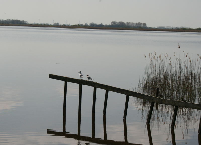 Frühlingsspaziergang