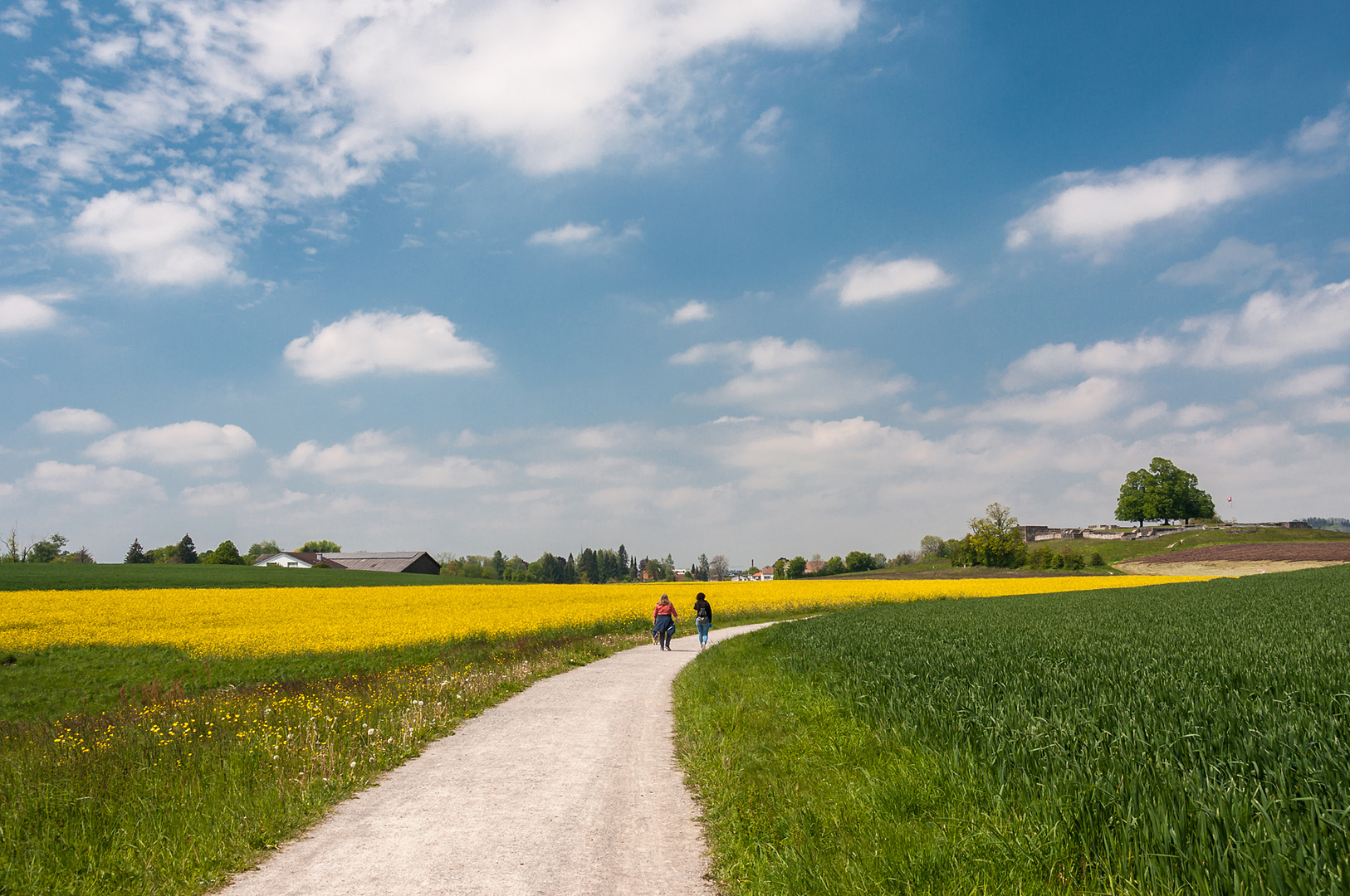 Frühlingsspaziergang