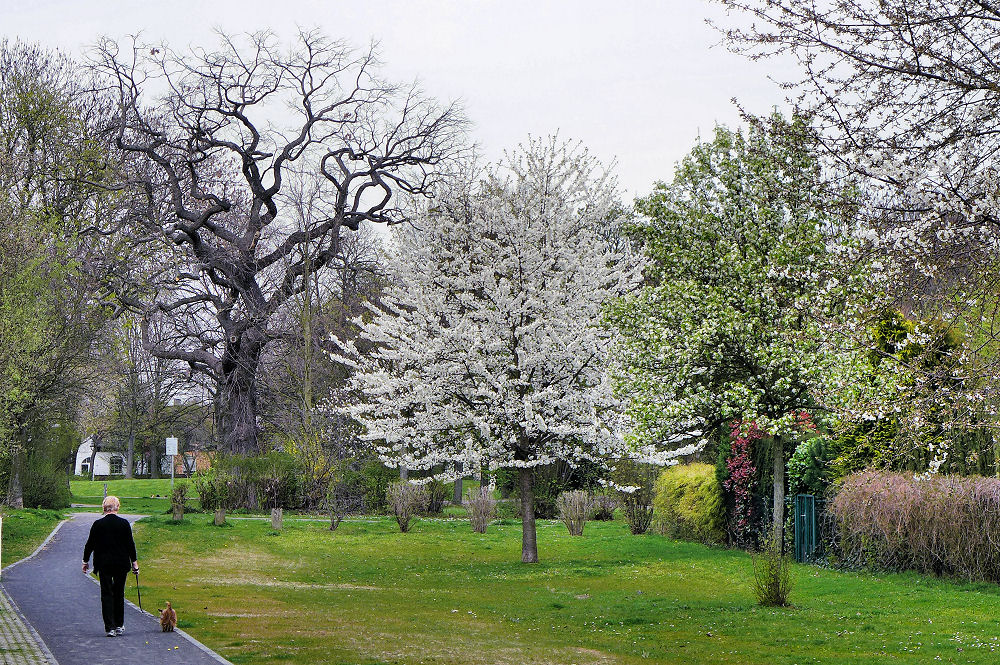 Frühlingsspaziergang