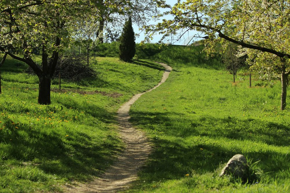 Frühlingsspaziergang