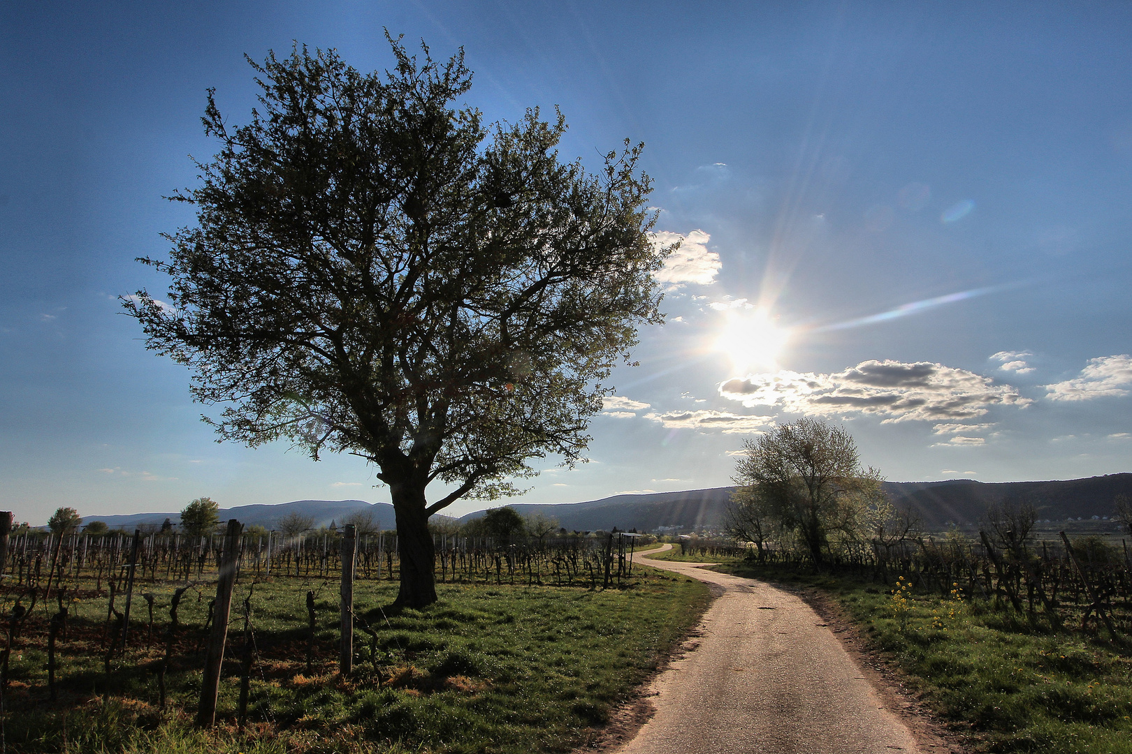 Frühlingsspaziergang