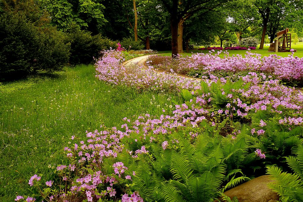 Frühlingsspaziergang