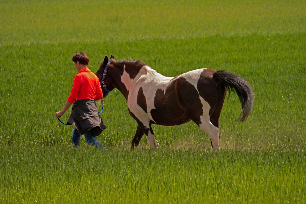 "Frühlingsspaziergang"