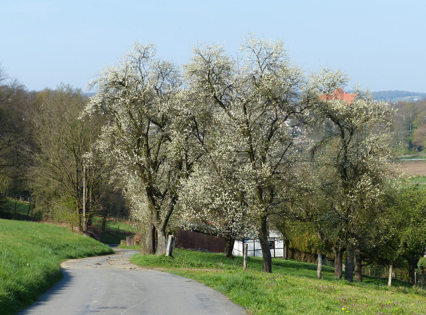 Frühlingsspaziergang