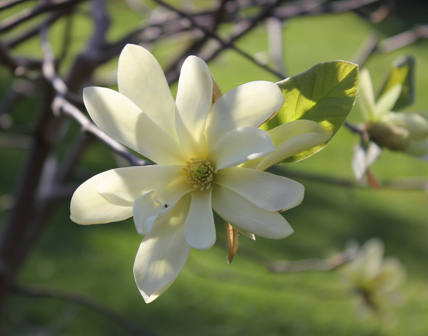 Frühlingsspaziergang