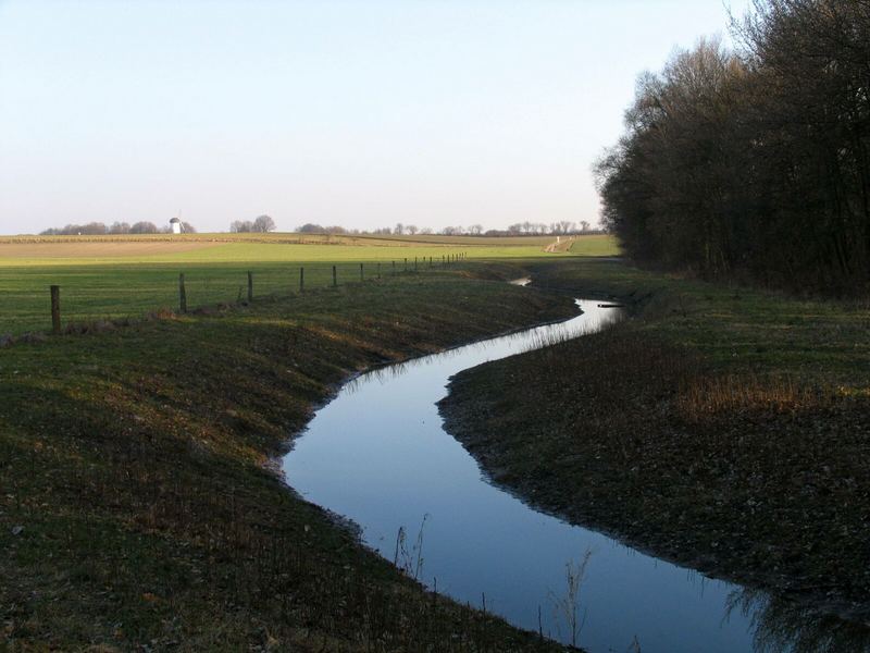 Frühlingsspaziergang am Egelsberg - 1