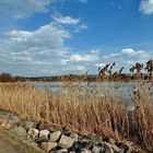 Frühlingsspaziergang am See,,,,,,,,,,,,