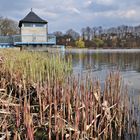 Frühlingsspaziergang am See,,,,,,,,,,,,,,,