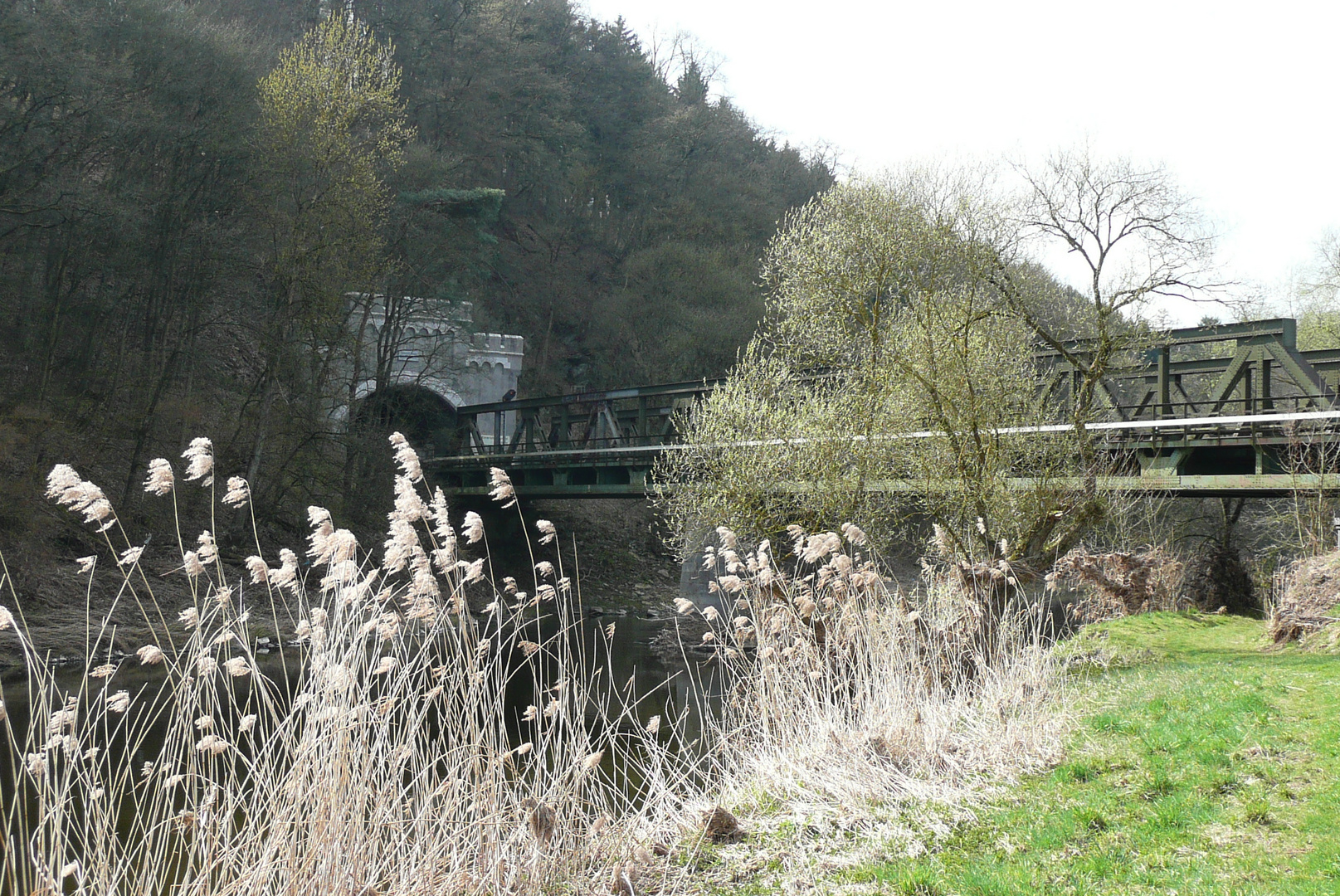 Frühlingsspaziergang an der Lahn bei Runkel