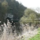 Frühlingsspaziergang an der Lahn bei Runkel