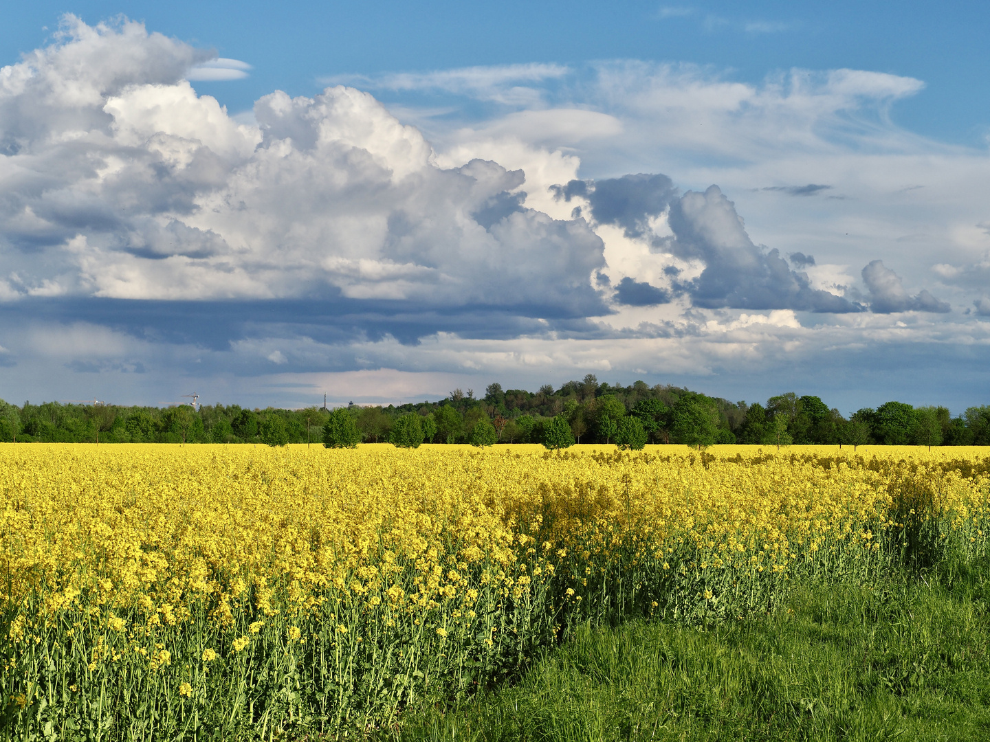 Frühlingsspaziergang