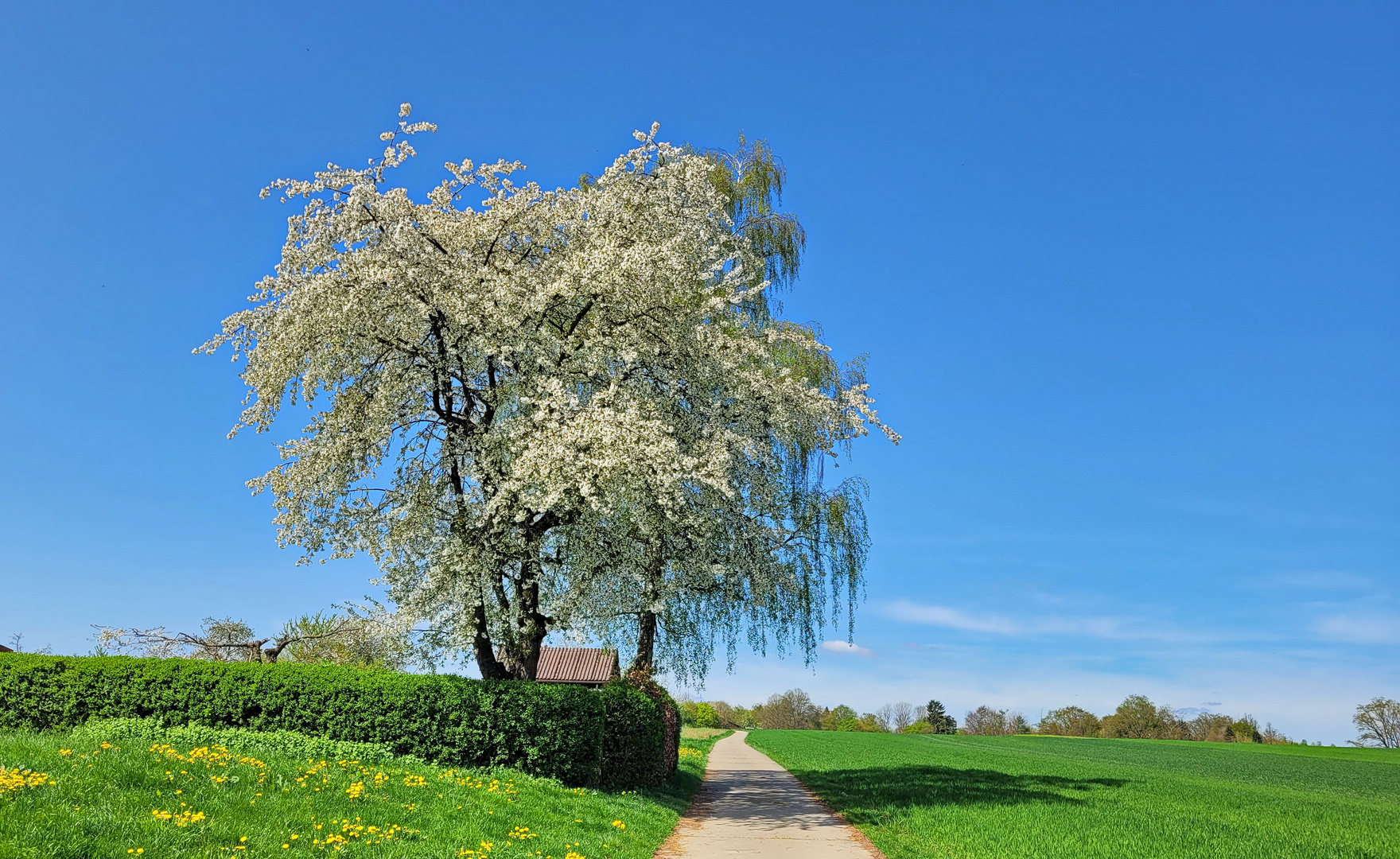 Frühlingsspaziergang