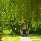 Frühlingsspaziergang durch den unteren Kurpark von Bad Salzhausen