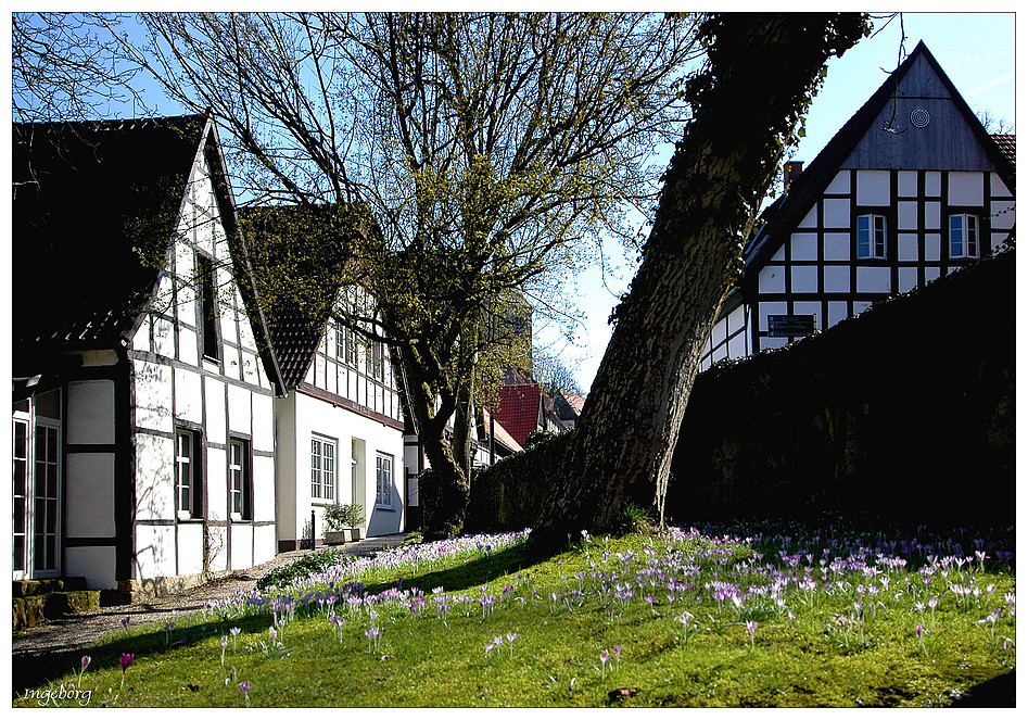 Frühlingsspaziergang durch Tecklenburg