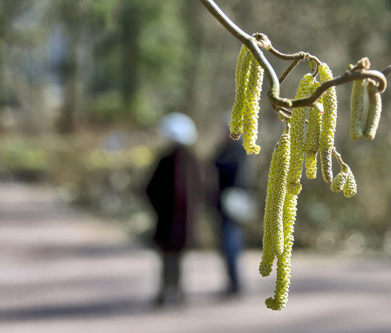 Frühlingsspaziergang......