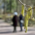 Frühlingsspaziergang......