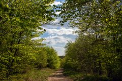 frühlingsspaziergang...