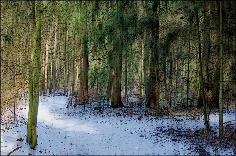 Frühlingsspaziergang