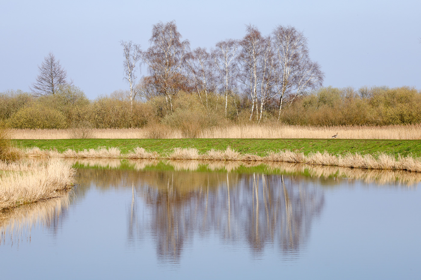 Frühlingsspaziergang