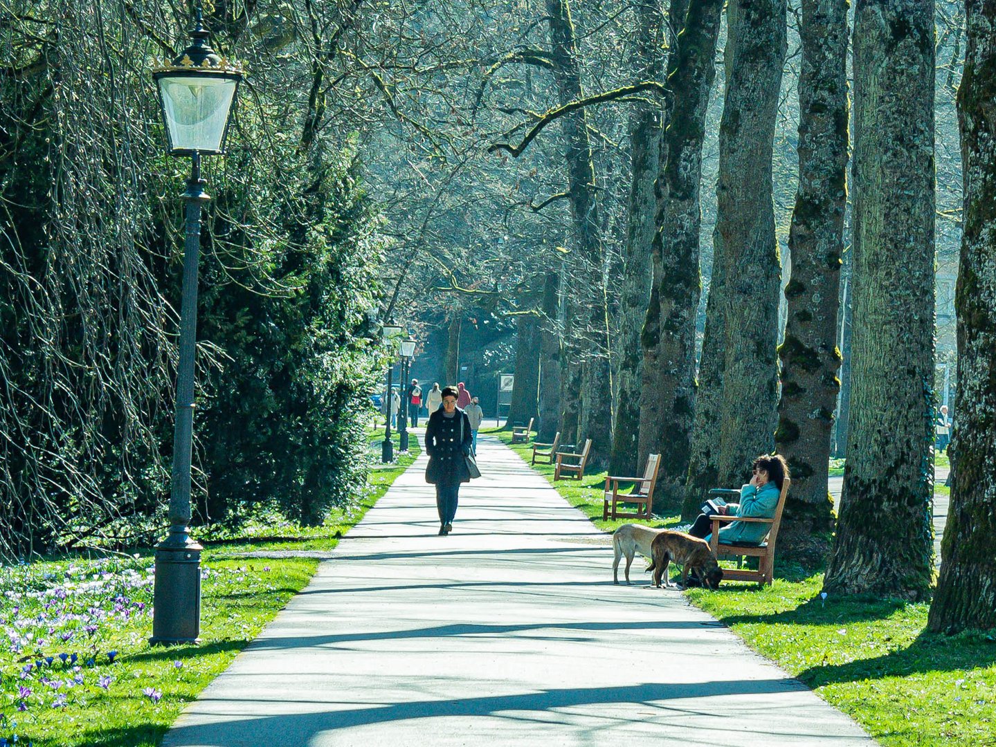 Frühlingsspaziergang 